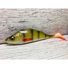 Guma SEWRO CUSTOM BAIT Okoń 14cm