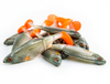Guma Angry Lures Roach Jointed 12,5cm | NOO