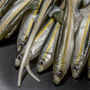 Guma Angry Lures Bleak V-Tail 20cm | WGY