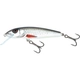 Dace