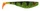 UV Perch \ 10