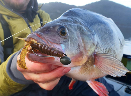 .Westin CreCraw Creaturebait 8,5cm | 7g Junebug - 1szt