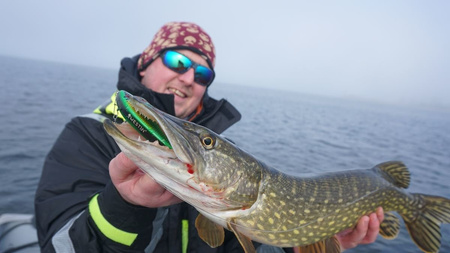 Wobler Westin Swim Jerk 10cm | Real Perch | wolno pływający