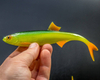Guma Angry Lures Bleak F-Tail 17cm | GYO