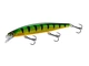 015 Perch