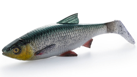 Guma Savage Gear 4D LB River Roach 18cm | Green Silver