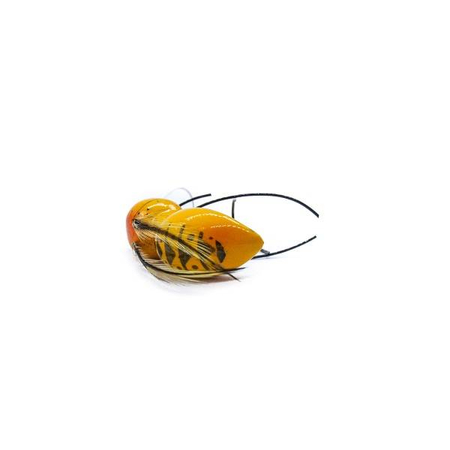 Wobler Engima Baits Osa 3,5cm | Osa Pospolita | pływający