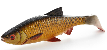 Guma Savage Gear 4D LB River Roach 18cm | Dirty Roach