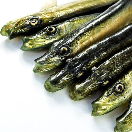 Guma Angry Lures Pike 19cm | NTA