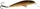 5 \ PST