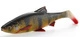 Perch