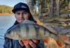 Przynęta Perch Professor F**king Leech 3,5"/9cm - #02 Purple Pepper - 5 szt.