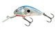 Silver Blue Shad