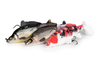 .Guma Fox Rage Super Natural Replicant Carp 18cm | Koi Carp