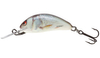 Wobler Salmo Hornet 2,5cm | Real Dace | tonący