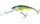  Perch