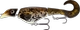 Burbot