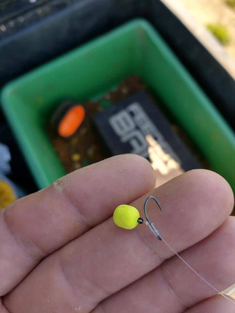Feeder Bait Mikron Wafters 4/6mm | Fish Meal