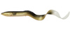 Guma Savage Gear Real Eel 20cm | DIRTY EEL