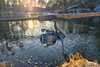 .Kołowrotek Savage Gear Fazor C2000