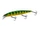015 Perch