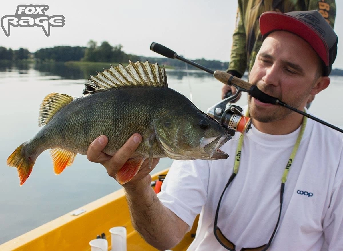 Guma Fox Rage Pro Grub 8cm | Super Natural Perch