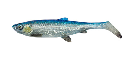 Guma Savage Gear 3D Herring Shad V2 25 cm | BLUE SILVER