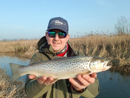 Wobler Wob-Art Ciernik 5cm | pływający | Ciernik