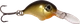 Oliwkowy / Czarny