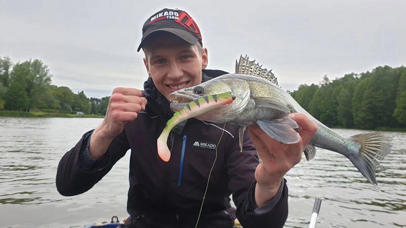 .Przynęta MIKADO FISHUNTER 8cm, kolor 56 op 5szt