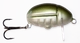 Oliwkowy