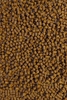 Pellet Feeder Bait 4mm | Orzech Tygrysi