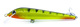 Sandacz Fluo
