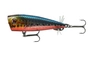 Popper Daiwa Prorex Chining Bug 7cm | 12,9g | Eagle Red Berry