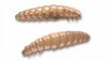 Przynęta Libra Lures Larva 3.5cm | 035 - Pellets | brak zapachu | 12 szt.