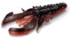 Lava Craw