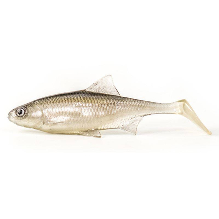Guma Angry Lures Roach 12,5cm | TSW