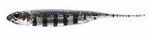 Fish Arrow Flash-J 3" - Live Gill/Silver #23 - 1 szt.