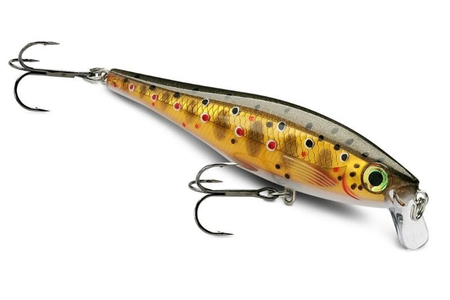 Wobler Rapala BX Minnow 7cm | TR