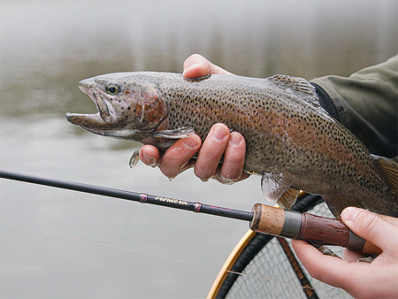 Wędka Spinningowa DELPHIN Troutera SoftLURE 2.10m / 1-7g / 2sec