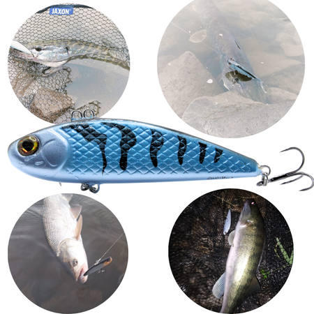Wobler Engima Baits Cykada 9cm | Blue Tiger| tonący