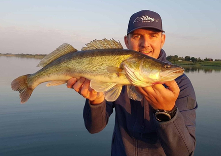 Guma Fox Rage Zander Pro 10cm | Young Perch