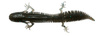 Guma Savage Gear NED Salamander 7,5cm | Mojito