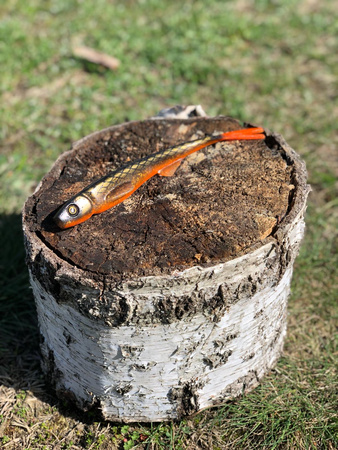 Przynęta Angry Pikes - Uppercut 25cm - 35 g - Goldi