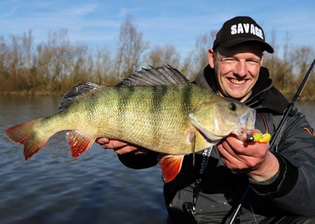 Guma Savage Gear Cannibal 6,8cm | Chartreuse Pumpkin