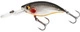 Steel Sardine