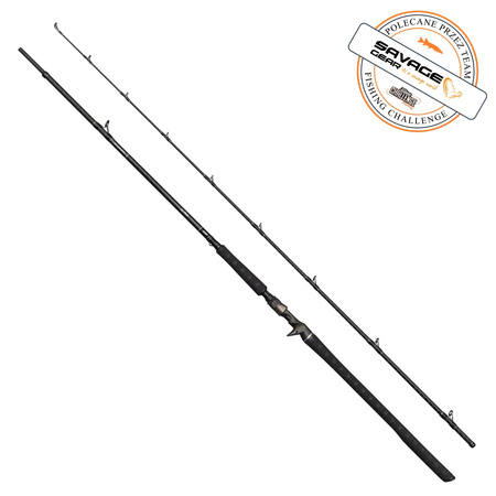 Wędka Castingowa Savage Gear Alpha SG8 Monster 246cm | 42-140g