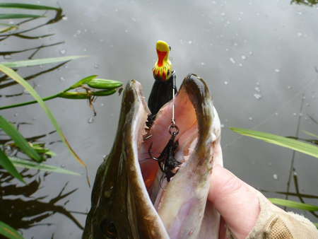 Przynęta Savage Gear 3D Suicide Duck 10,5cm |Ugly Duckling