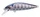 Pink Smolt