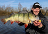 Guma Savage Gear Cannibal 6,8cm | Green Pearl Yellow